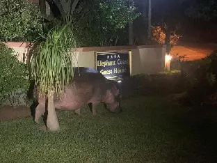 Elephant Coast Guesthouse