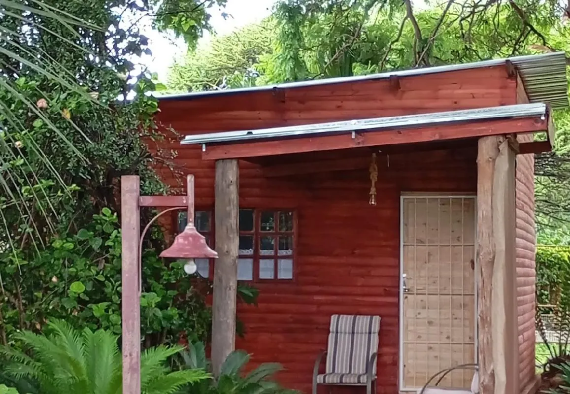 6 on First Log Cabin