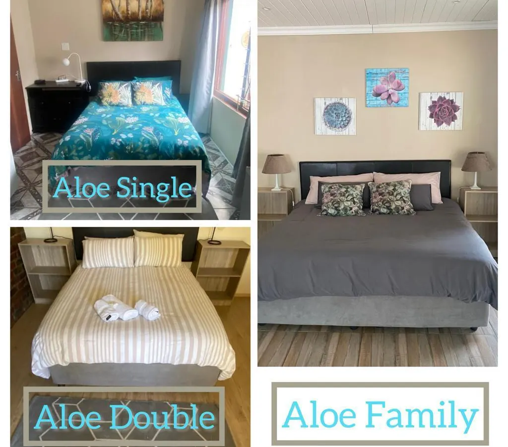 Aloe Guest Rooms