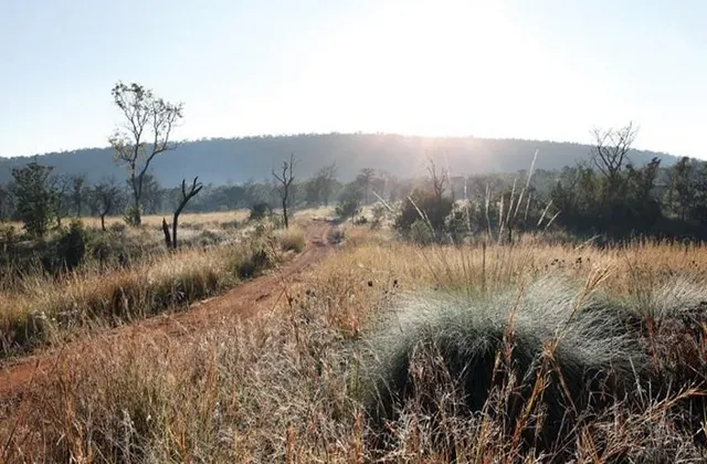 Shambala Private Game Reserve