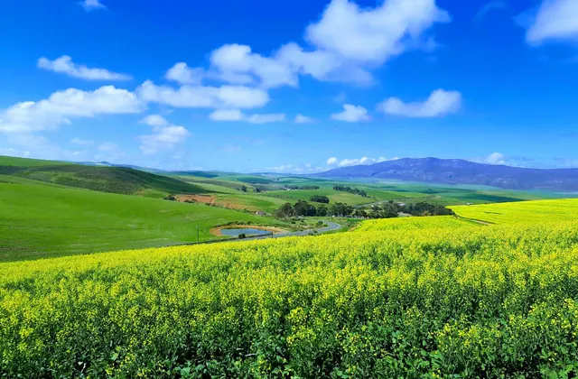 Farm holiday accommodation