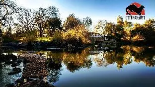 Otters' Haunt