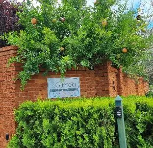 Camelia Guest House