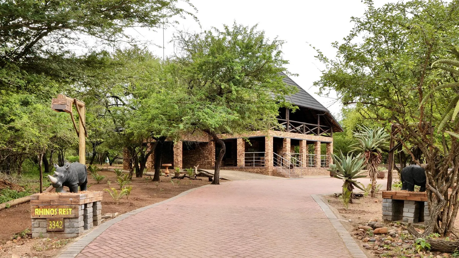 Rhinos Rest