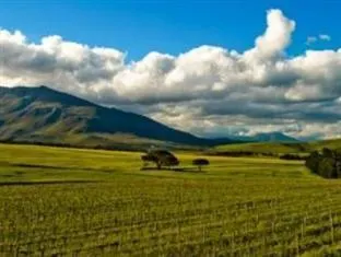 Endless Vineyards at Wildekrans Wine Estate – photo 5, Country House in Bot River