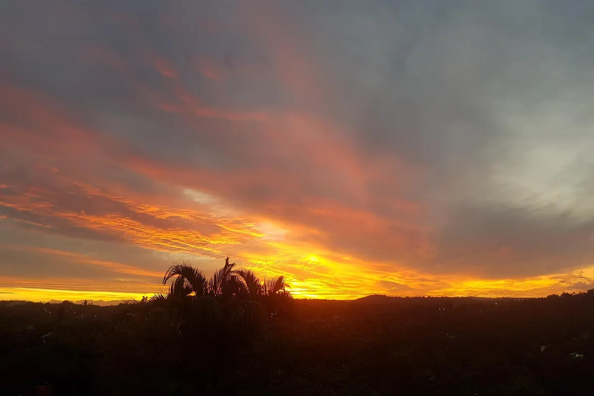Serenity Place Garden View