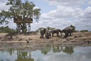 Umlani Bushcamp – photo 5, Holiday Park/Caravan Park in Kruger National Park