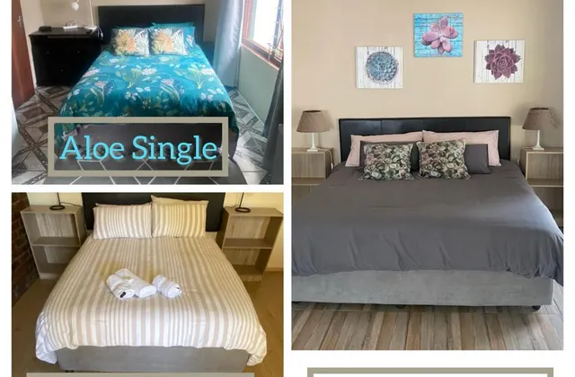 Aloe Guest Rooms