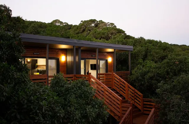Sunbird Suite - Treetop Guesthouse