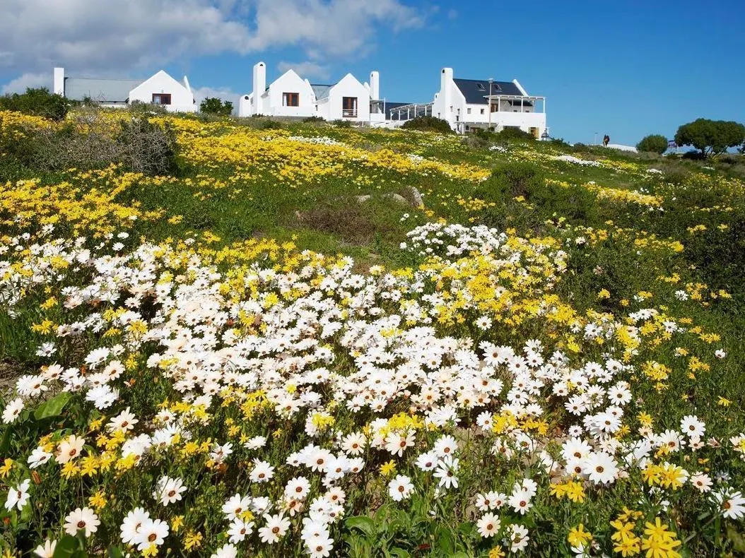 Abalone Hotel & Villa's