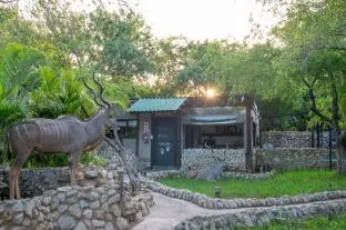 Foxy Crocodile Bush Lodge and Kruger Safaris