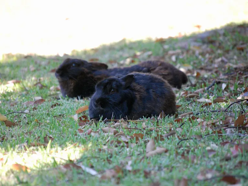 Castleton Self-catering Accommodation