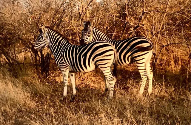 Villa in Hoedspruit with Drakensberg Views