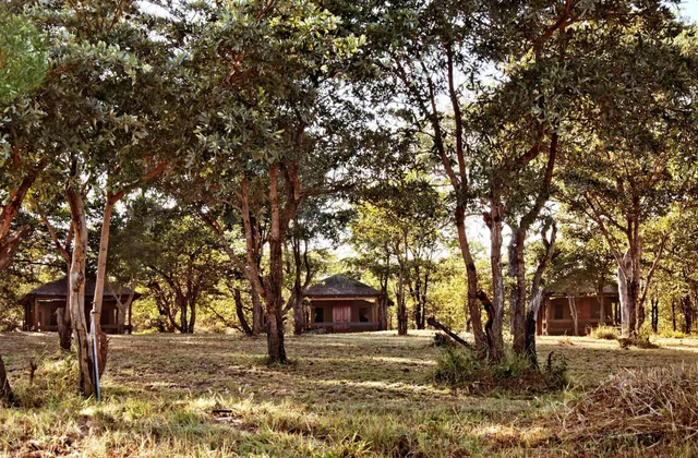 Shindzela Tented Safari Camp and Walking Safaris Accommodation
