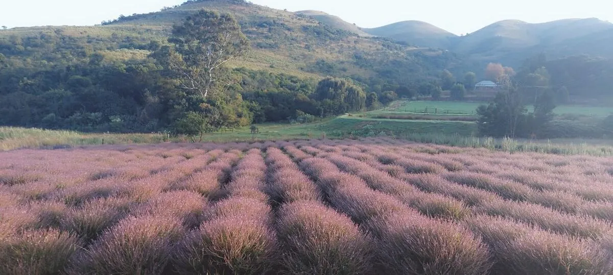 The Inn on Robbers Pass