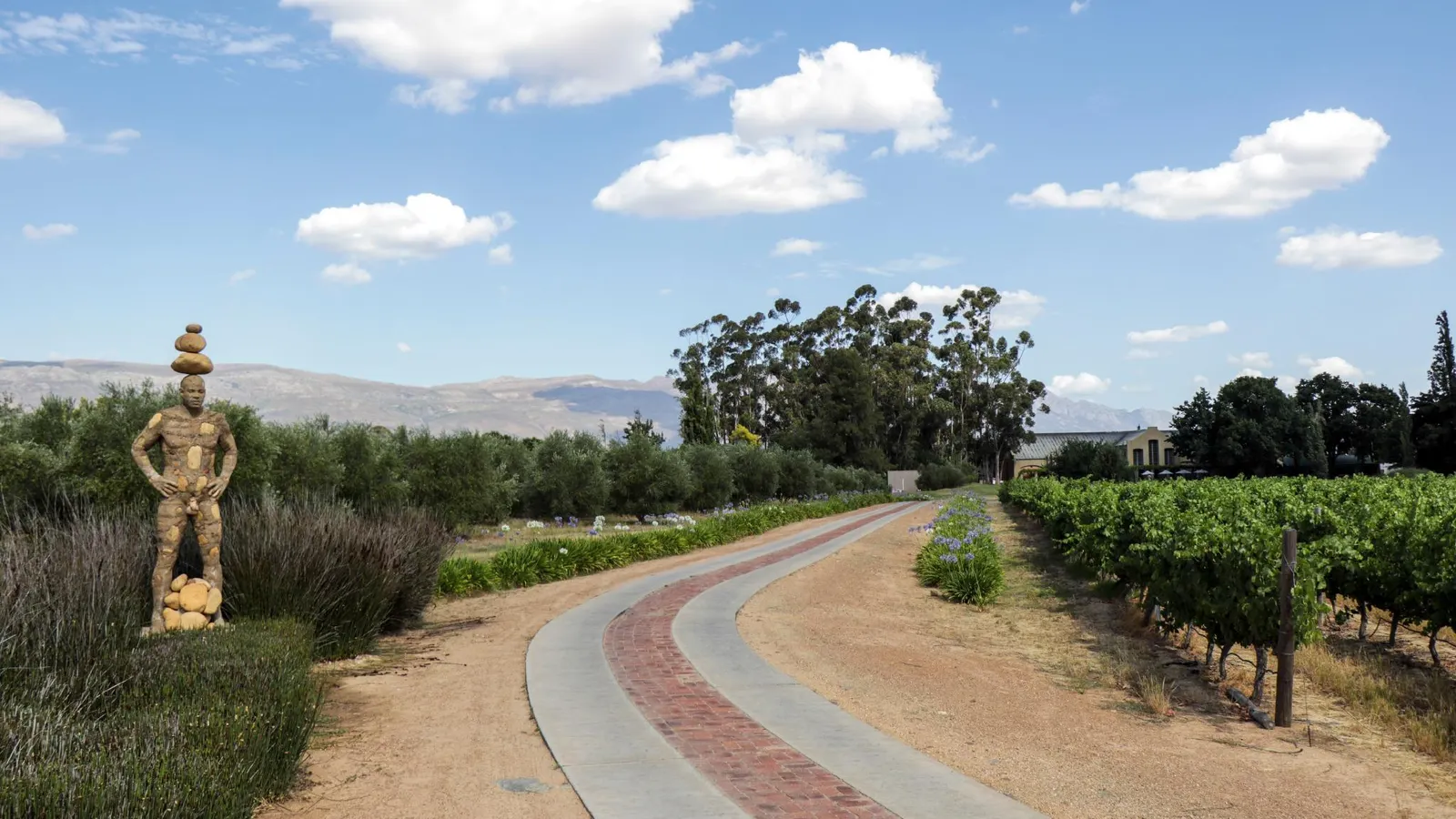 Saronsberg Vineyard Cottages