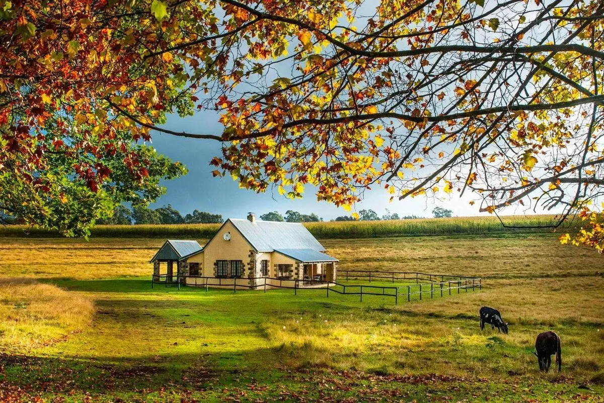 The FarSide Dam Cottage