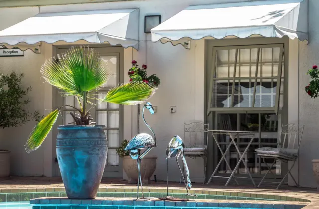 Wild Olive Luxury Guest House