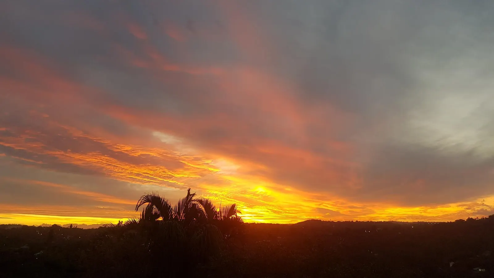 Serenity Place Garden View