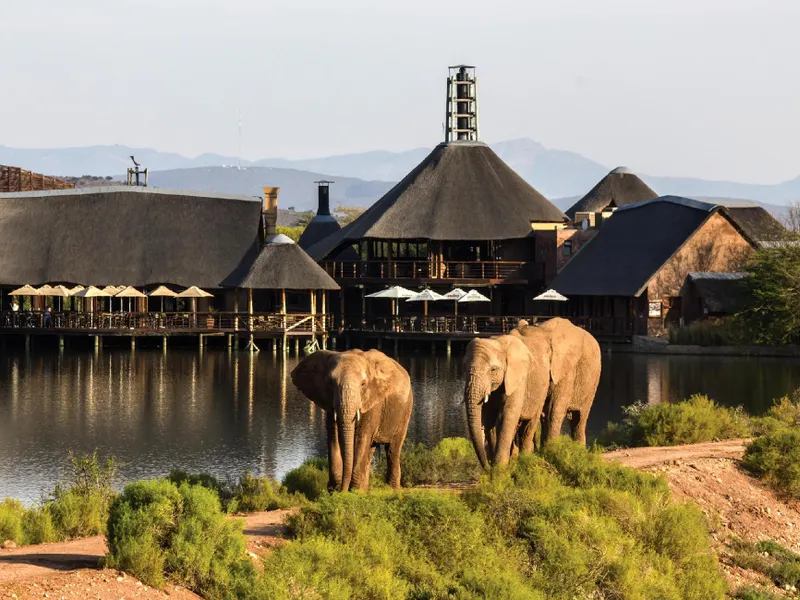 Buffelsdrift Game Lodge and Hotel