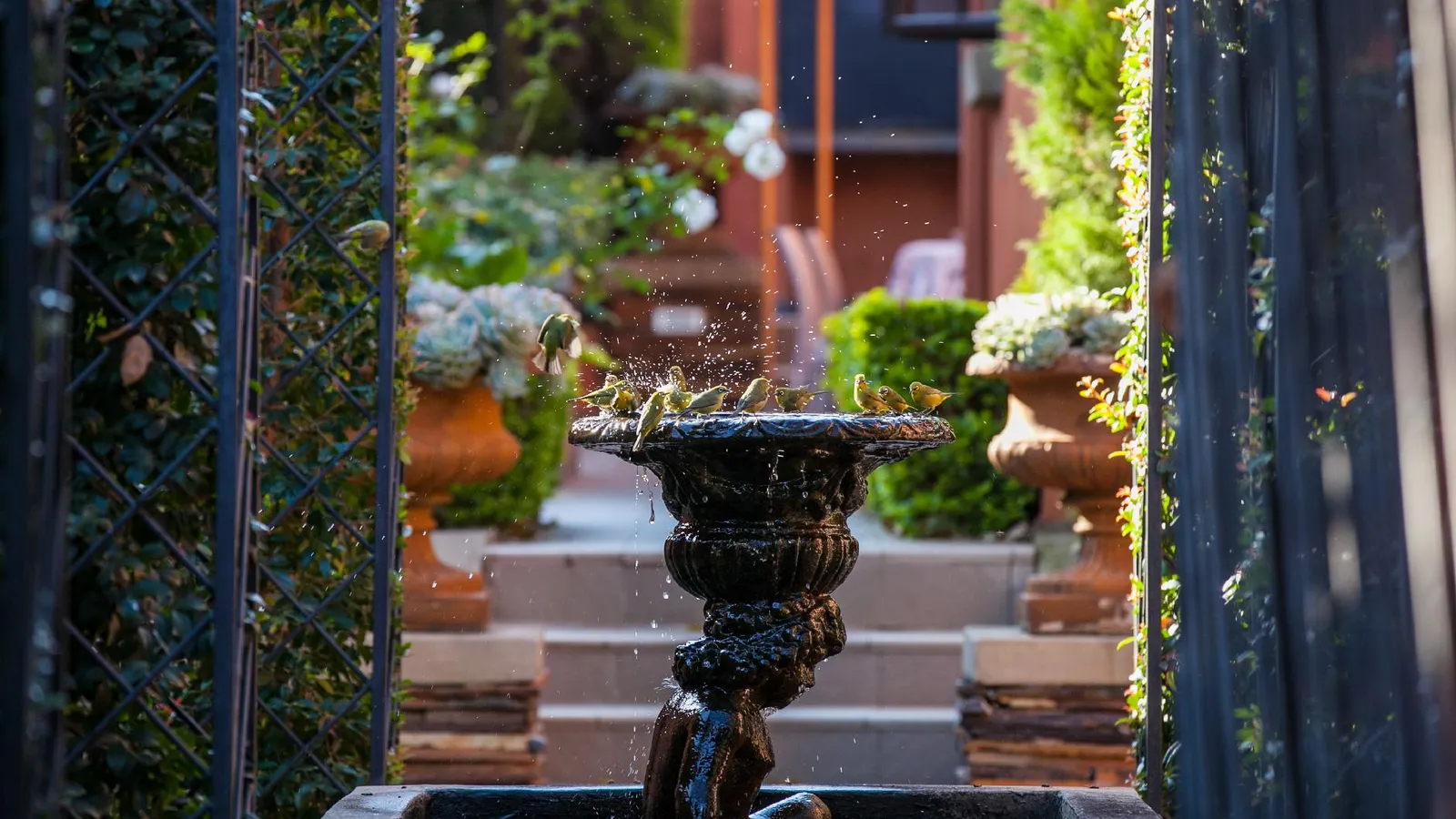 Ivory Manor Boutique Hotel