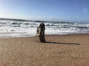 Milkwood - romantic coastal beach eacape