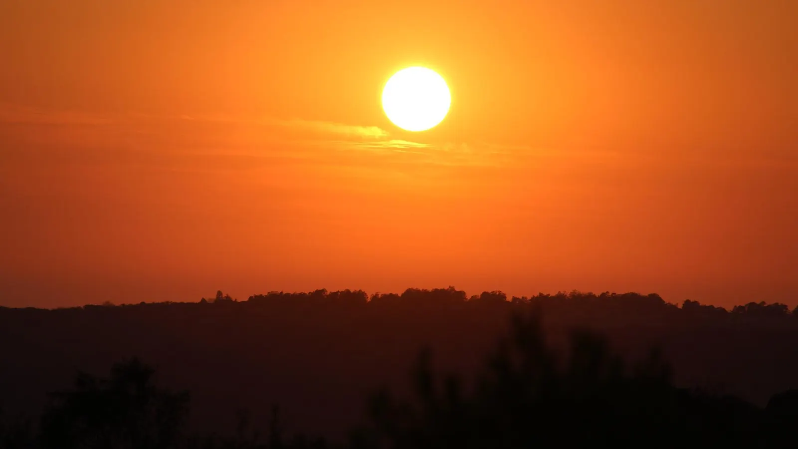 Kruger Ranch - Lodge, Caravan, Camping & Game Farm