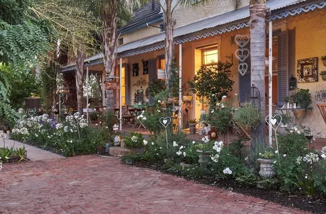 Yellow Aloe Guest House 