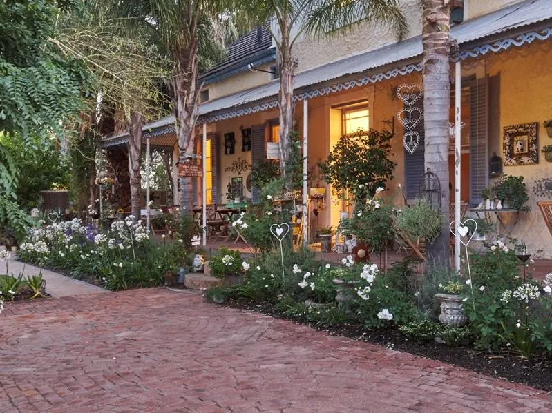 Yellow Aloe Guest House 