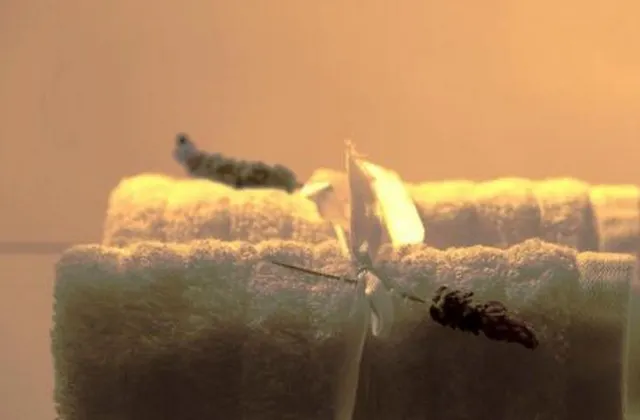 Gilcrest Place Guest House