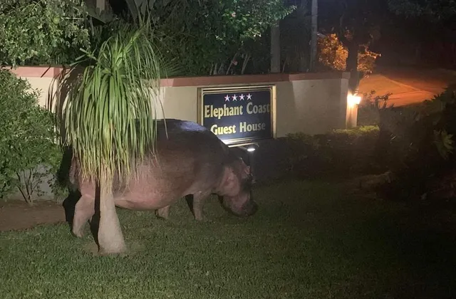 Elephant Coast Guesthouse