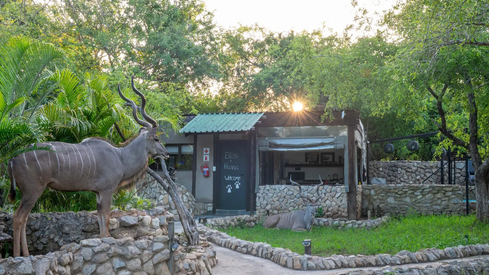Foxy Crocodile Bush Lodge and Kruger Safaris