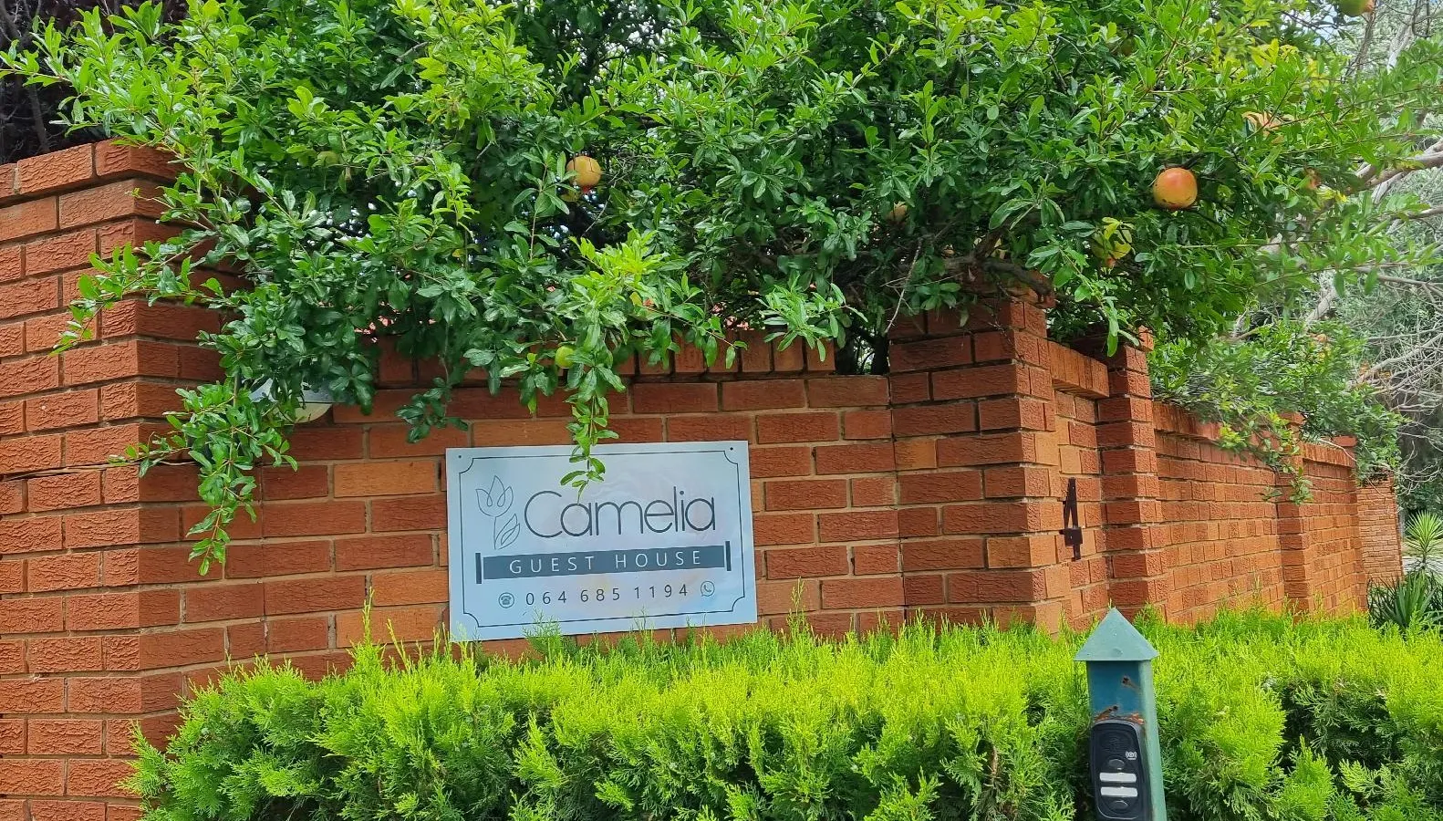 Camelia Guest House