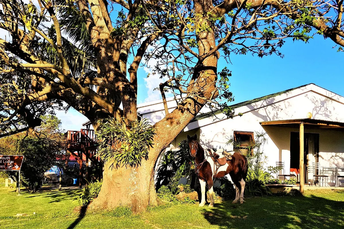 Kei Mouth Guest Lodge