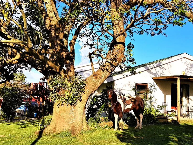 Kei Mouth Guest Lodge