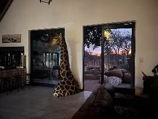 Simba Safaris African Pride Exotic Lodge – photo 5, Hotel in Ellisras