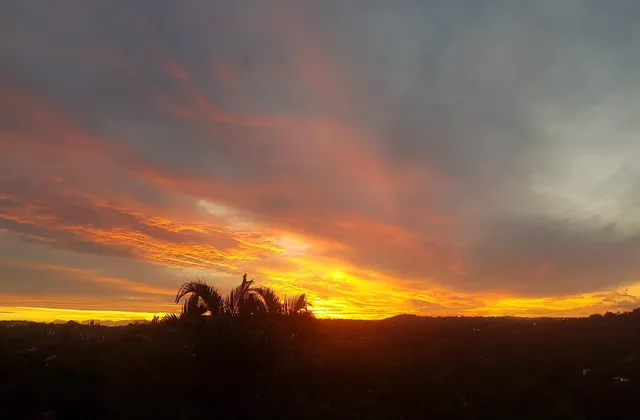 Serenity Place Garden View