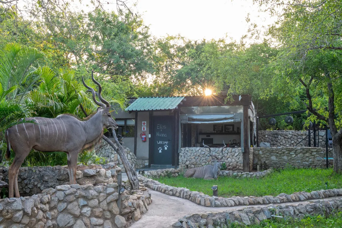 Foxy Crocodile Bush Lodge and Kruger Safaris