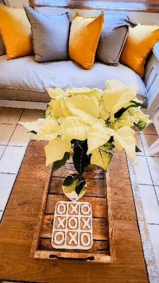 Skinny Expat – photo 3, Apartment/Flat in Paarl