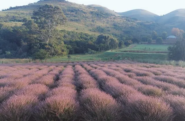 The Inn on Robbers Pass