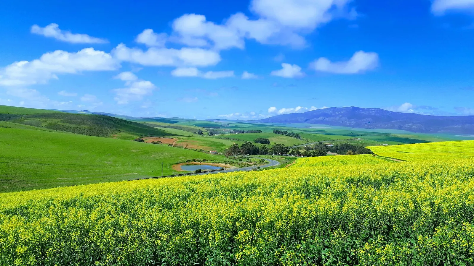 Farm holiday accommodation