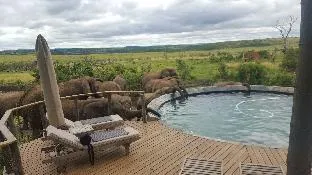 Nambiti Plains Private Game Lodge – photo 4, Lodge in Ladysmith