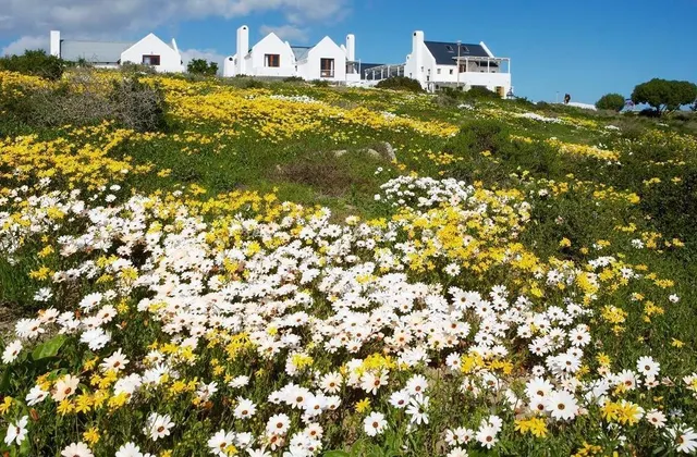 Abalone Hotel & Villa's