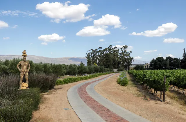 Saronsberg Vineyard Cottages