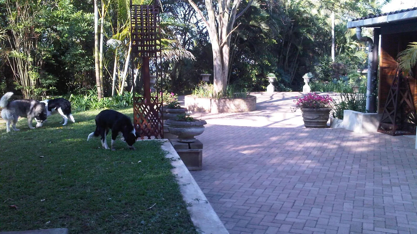 #BEMBRIDGE BREAK-AWAY