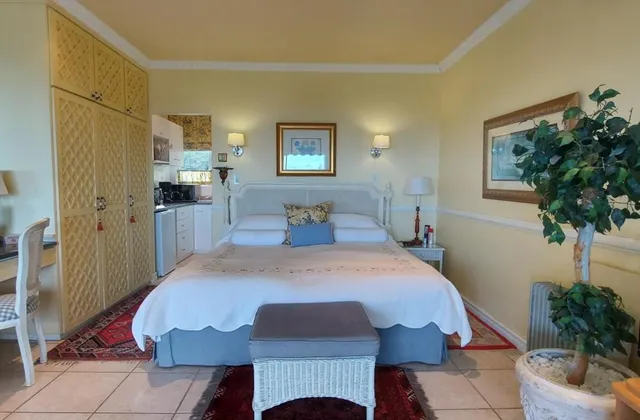 Roosboom Luxury Studio - with Sea View and kitchen, ideal for 2 guests, Capetown
