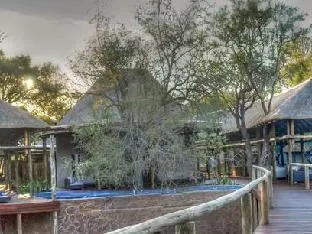 Moditlo River Lodge – photo 4, Lodge in Hoedspruit