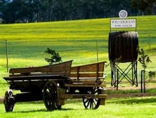 Endless Vineyards at Wildekrans Wine Estate