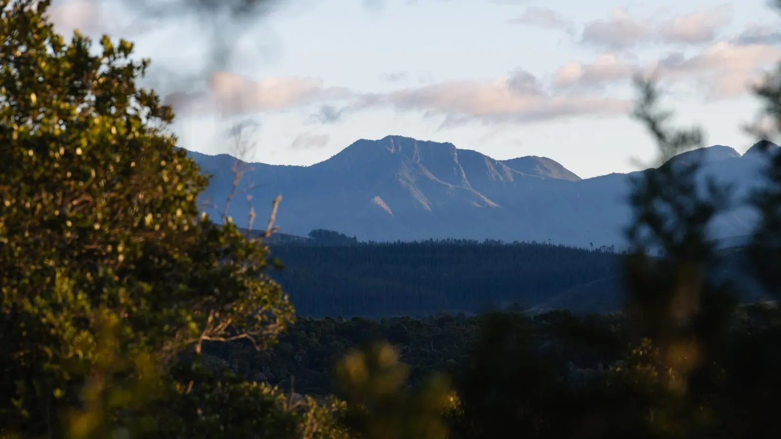 Moon Shine on Whiskey Creek