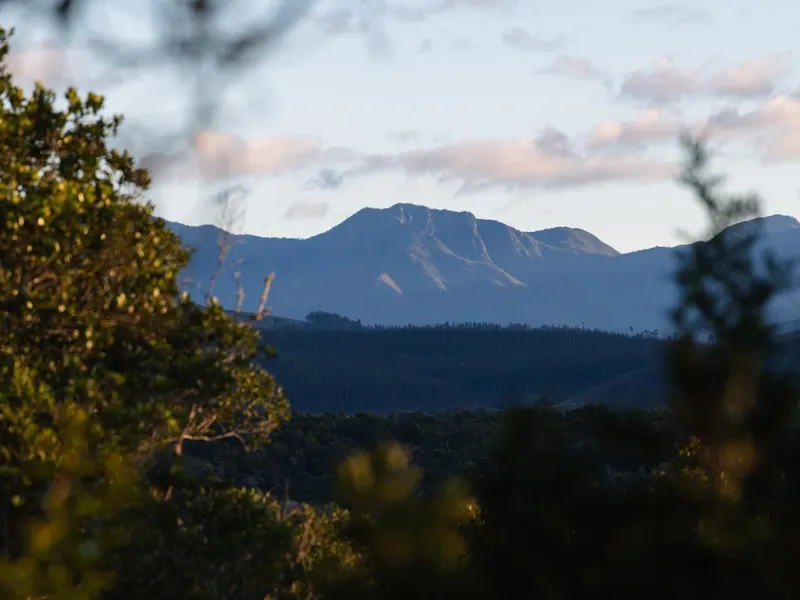 Moon Shine on Whiskey Creek